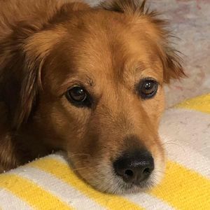 Meet your Posher, Patricia